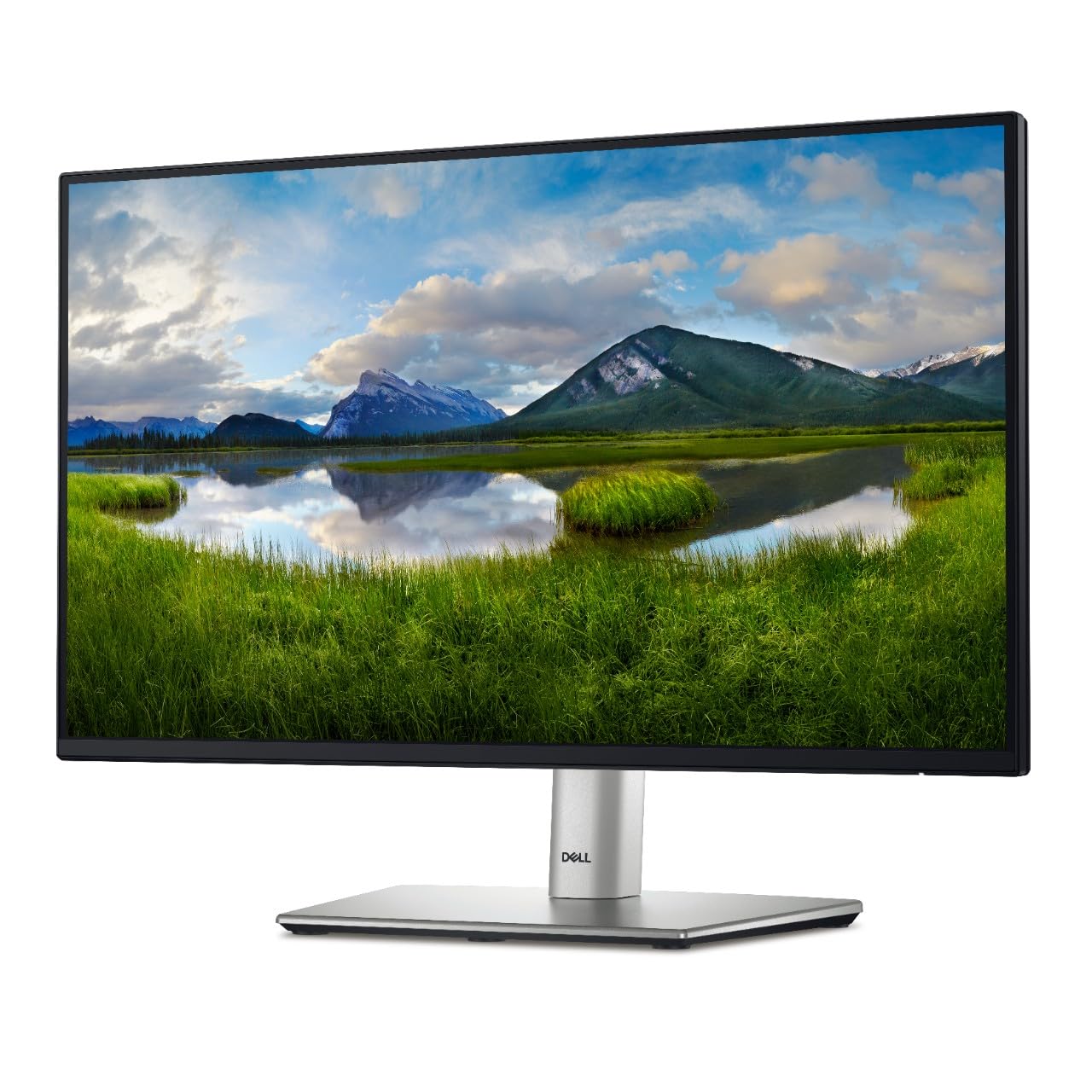 Dell 24 USB-C Hub Monitor - DELLP2425HE