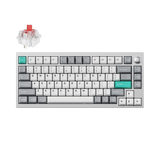 Lemokey P1 Pro Custom Gaming Keyboard (P1P-X1 Silver-Red Switch) - 4895248878988