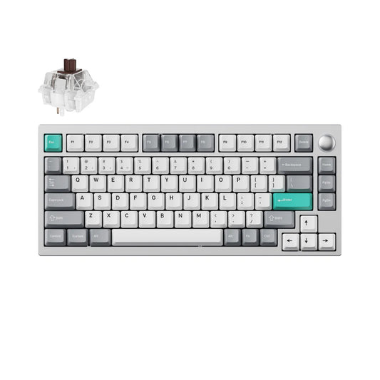 Lemokey P1 Pro Custom Gaming Keyboard (P1P-X3 Silver-Brown Switch) - 4895248878995