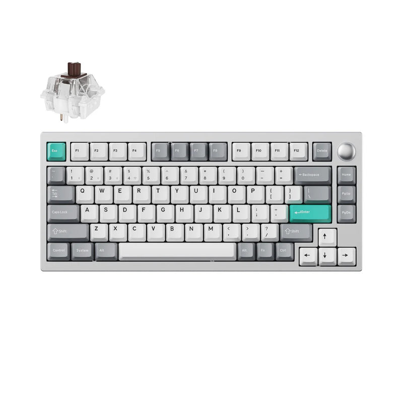 Lemokey P1 Pro Custom Gaming Keyboard (P1P-X3 Silver-Brown Switch) (LEM-P1P-X3) - 4895248878995